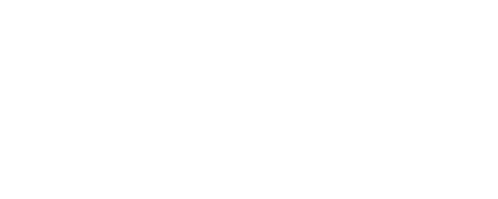Quinn Steel
